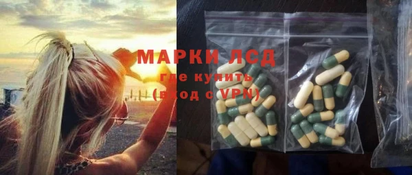 хмурый Верея
