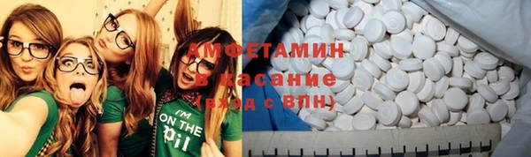 хмурый Верея