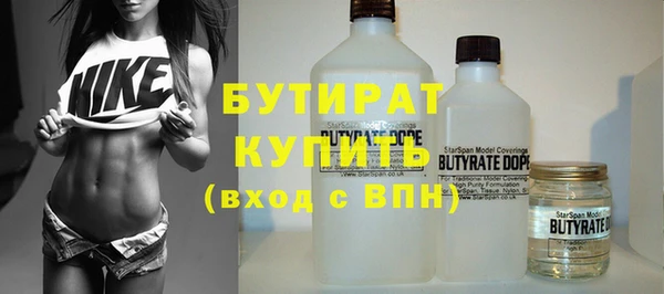хмурый Верея