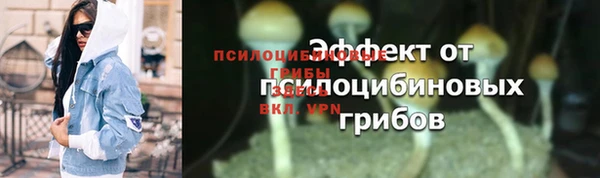 хмурый Верея