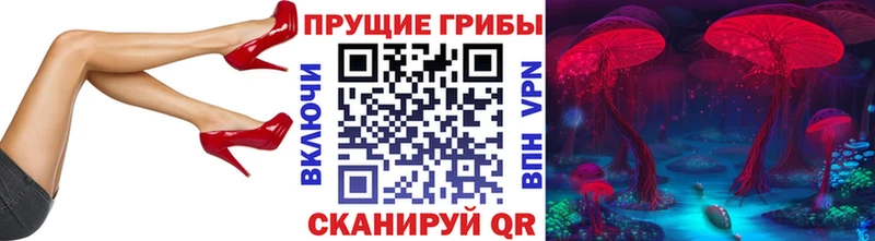 Галлюциногенные грибы мицелий  что такое   Иланский 